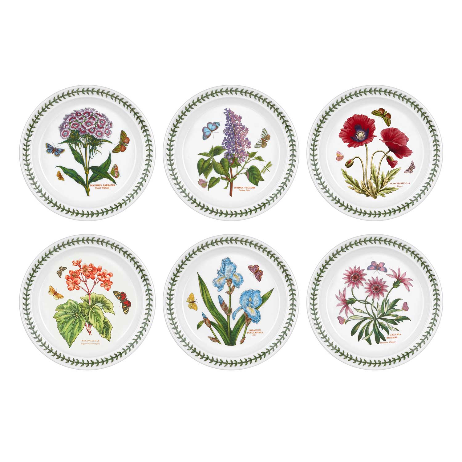 Botanic Garden Set of 6 Plates image number null